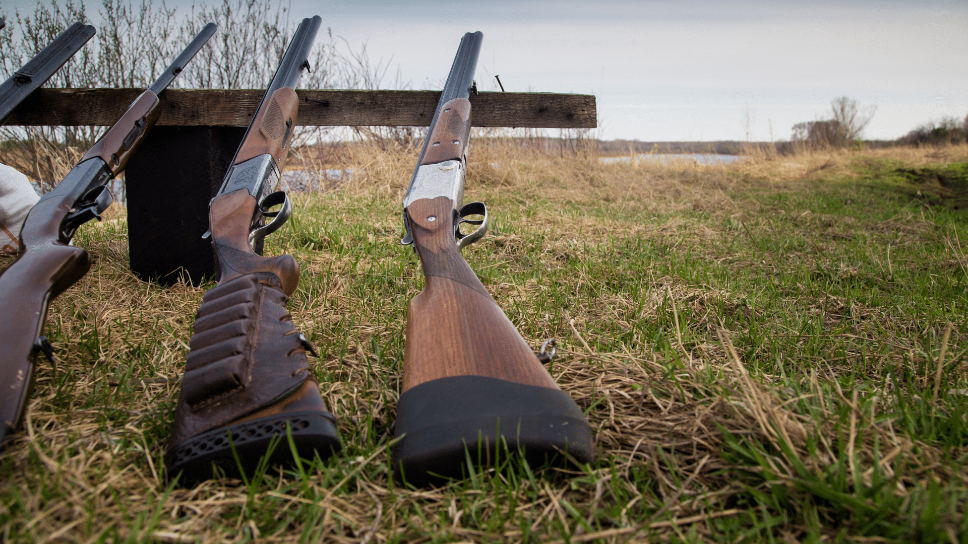 Guns leaning against stand