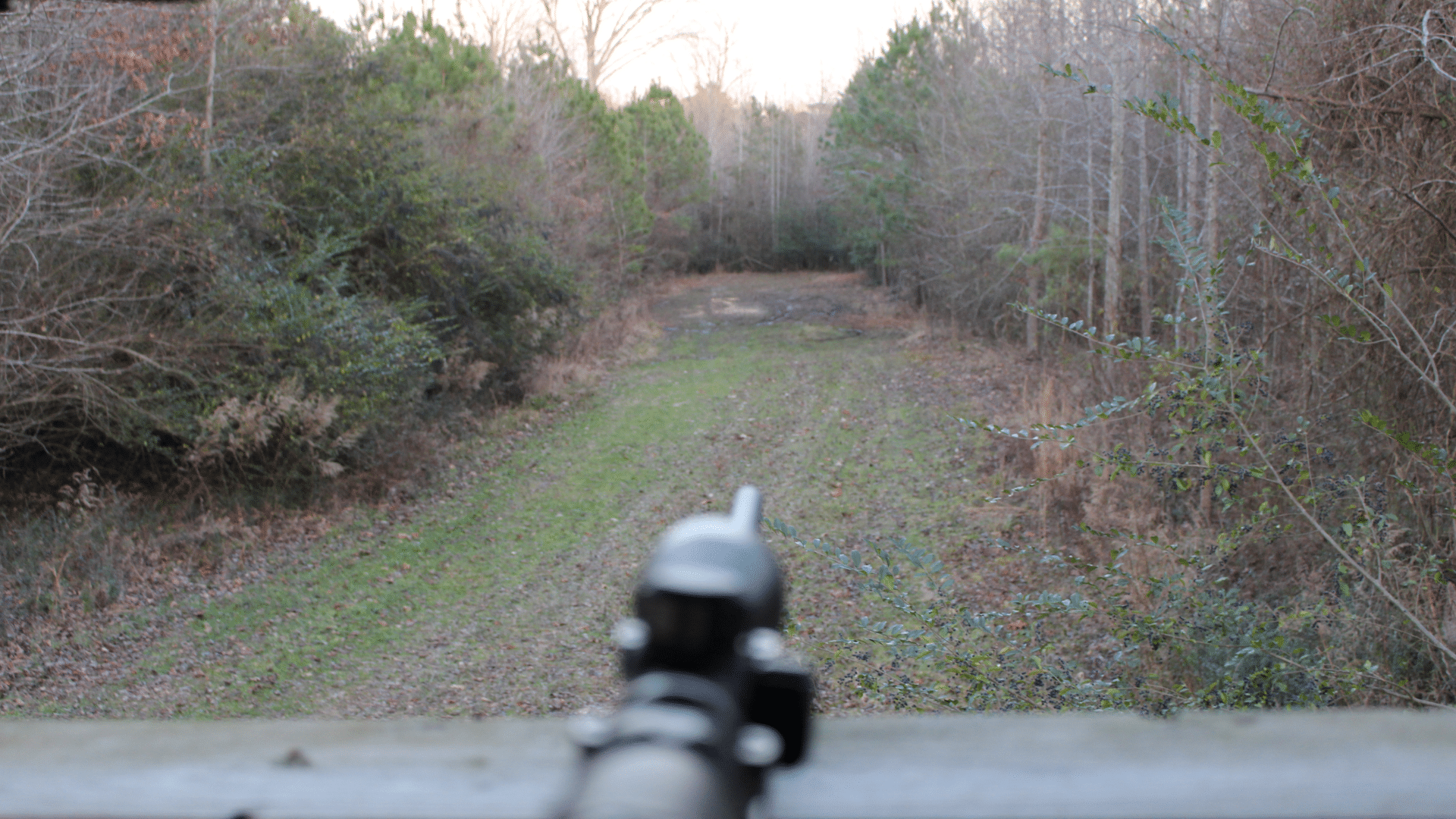 Gunning pointing off in distant field